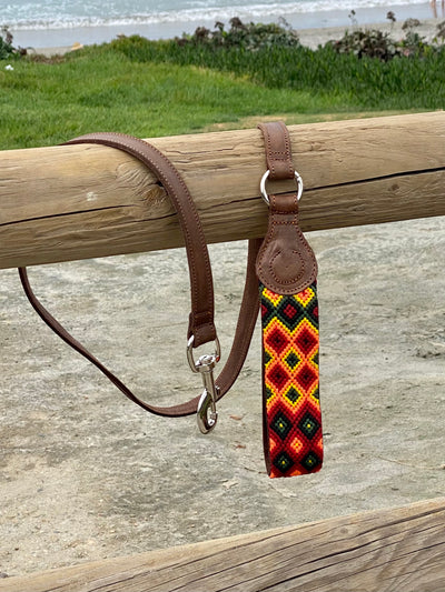 Poncho Leash Pet Lovingly